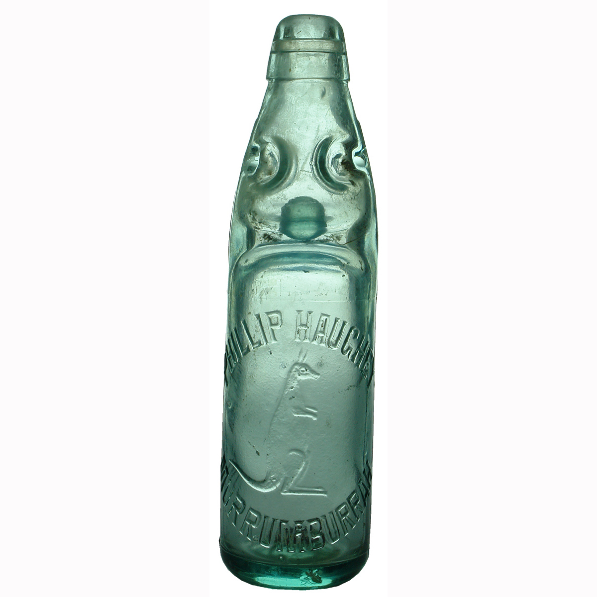 Codd. Phillip Haughey, Murrumburrah. Kangaroo. (New South Wales)