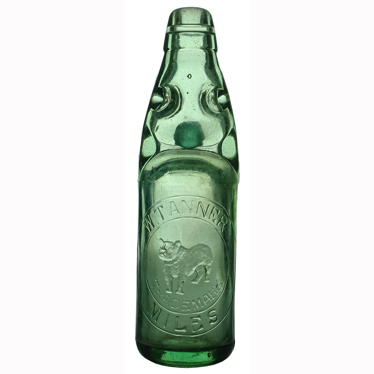 Codd. W. Tanner, Miles. Bulldog. (Queensland)