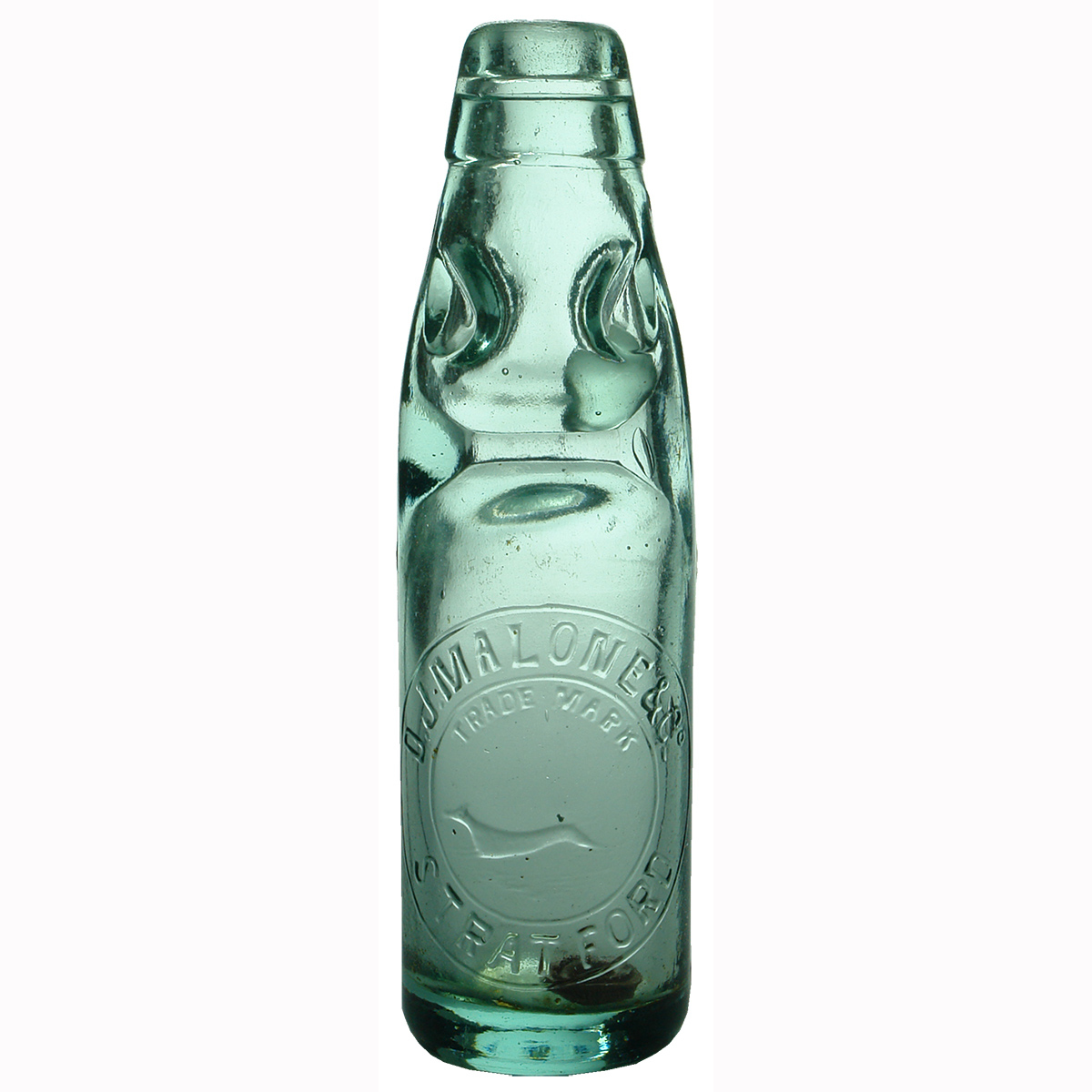 Codd. Malone, Stratford. greyhound. (New Zealand)