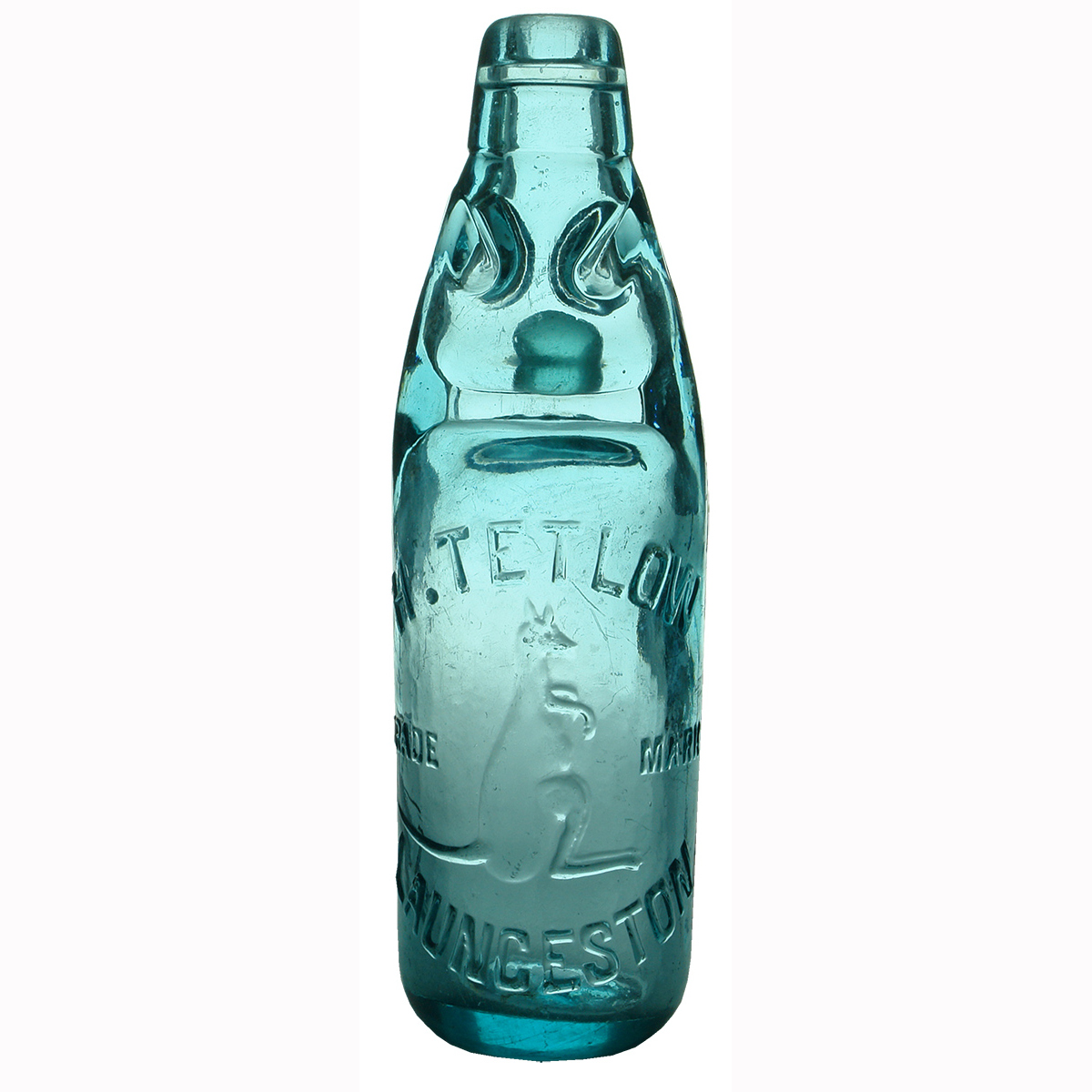 Codd. H. Tetlow Launceston. kangaroo. (Tasmania)